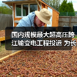 国内规模最大超高压跨江输变电工程投运 为长三角夏季电力供应提供保障(图2) 国内规模最大超高压跨江输变电工程投运 为长三角夏季电力供应提供保障(图2)