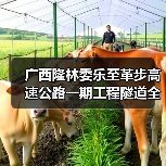广西隆林委乐至革步高速公路一期工程隧道全部贯通(图1) 广西隆林委乐至革步高速公路一期工程隧道全部贯通(图1)