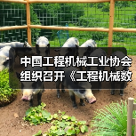 中国工程机械工业协会组织召开《工程机械数字化水平评估规范》团体标准启动会暨草案研讨会(图1) 中国工程机械工业协会组织召开《工程机械数字化水平评估规范》团体标准启动会暨草案研讨会(图1)