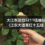 大江东项目S211钱塘段(江东大道至红十五线)公路工程开工(图4) 大江东项目S211钱塘段(江东大道至红十五线)公路工程开工(图4)
