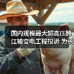 国内规模最大超高压跨江输变电工程投运 为长三角夏季电力供应提供保障（图4）