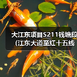 大江东项目S211钱塘段(江东大道至红十五线)公路工程开工(图3) 大江东项目S211钱塘段(江东大道至红十五线)公路工程开工(图3)