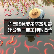 广西隆林委乐至革步高速公路一期工程隧道全部贯通(图3) 广西隆林委乐至革步高速公路一期工程隧道全部贯通(图3)