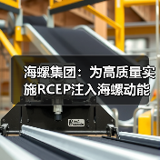 海螺集团:为高质量实施RCEP注入海螺动能(图4) 海螺集团:为高质量实施RCEP注入海螺动能(图4)