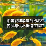 中国能建承建的肯尼亚内罗毕供水隧道工程正式移交(图2) 中国能建承建的肯尼亚内罗毕供水隧道工程正式移交(图2)