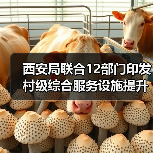 西安局联合12部门印发村级综合服务设施提升工程方案(图1) 西安局联合12部门印发村级综合服务设施提升工程方案(图1)