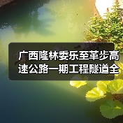 广西隆林委乐至革步高速公路一期工程隧道全部贯通（图4）