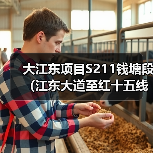 大江东项目S211钱塘段(江东大道至红十五线)公路工程开工(图2) 大江东项目S211钱塘段(江东大道至红十五线)公路工程开工(图2)