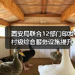 西安局联合12部门印发村级综合服务设施提升工程方案(图2) 西安局联合12部门印发村级综合服务设施提升工程方案(图2)