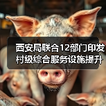 西安局联合12部门印发村级综合服务设施提升工程方案(图4) 西安局联合12部门印发村级综合服务设施提升工程方案(图4)
