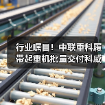 行业瞩目!中联重科履带起重机批量交付科威特(图2) 行业瞩目!中联重科履带起重机批量交付科威特(图2)