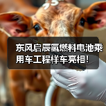 东风启辰氢燃料电池乘用车工程样车亮相!(图1) 东风启辰氢燃料电池乘用车工程样车亮相!(图1)