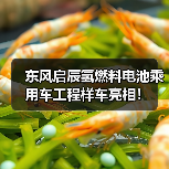东风启辰氢燃料电池乘用车工程样车亮相!(图4) 东风启辰氢燃料电池乘用车工程样车亮相!(图4)
