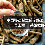 中国移动聚焦数字经济“一号工程” 共绘赣鄱“精彩画卷”(图4) 中国移动聚焦数字经济“一号工程” 共绘赣鄱“精彩画卷”(图4)