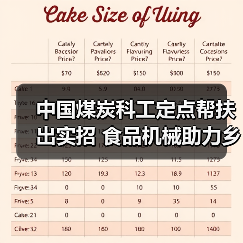 中国煤炭科工定点帮扶出实招 食品机械助力乡村振兴见实效(图2) 中国煤炭科工定点帮扶出实招 食品机械助力乡村振兴见实效(图2)