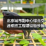 北京城市副中心综合交通枢纽工程建设稳步推进(图1) 北京城市副中心综合交通枢纽工程建设稳步推进(图1)