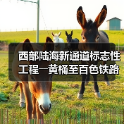 西部陆海新通道标志性工程――黄桶至百色铁路正式开建（图1）