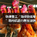 铁建重工“海峡快线号”盾构机助力新加坡跨海输水隧道工程顺利贯通(图4) 铁建重工“海峡快线号”盾构机助力新加坡跨海输水隧道工程顺利贯通(图4)