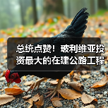 总统点赞!玻利维亚投资最大的在建公路工程全面通车(图4) 总统点赞!玻利维亚投资最大的在建公路工程全面通车(图4)