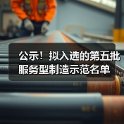 公示!拟入选的第五批服务型制造示范名单(图4) 公示!拟入选的第五批服务型制造示范名单(图4)