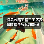 梅县公路工程三工区径背隧道全线顺利贯通(图1) 梅县公路工程三工区径背隧道全线顺利贯通(图1)
