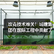 攻克技术难关!城建集团在国际工程中贡献了中国智慧(图3) 攻克技术难关!城建集团在国际工程中贡献了中国智慧(图3)