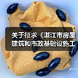 关于征求《湛江市房屋建筑和市政基础设施工程竣工联合验收工作方案(征求意见稿)》意见的通知(图1) 关于征求《湛江市房屋建筑和市政基础设施工程竣工联合验收工作方案(征求意见稿)》意见的通知(图1)