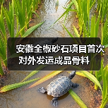 安徽全椒砂石项目首次对外发运成品骨料(图4) 安徽全椒砂石项目首次对外发运成品骨料(图4)