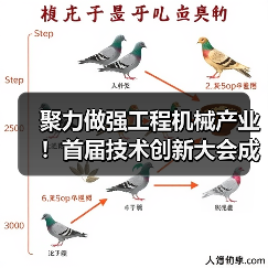 聚力做强工程机械产业！首届技术创新大会成功举办（图4）