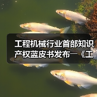 工程机械行业首部知识产权蓝皮书发布――《工程机械知识产权蓝皮书(2023)》（图4）