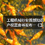 工程机械行业首部知识产权蓝皮书发布――《工程机械知识产权蓝皮书(2023)》（图3）