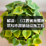 解读:《江西省房屋建筑和市政基础设施工程质量监督管理规定》(图2) 解读:《江西省房屋建筑和市政基础设施工程质量监督管理规定》(图2)