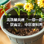 高质量共建“一带一路”获肯定,中联重科两项目入选联合国全球契约组织重要成果(图2) 高质量共建“一带一路”获肯定,中联重科两项目入选联合国全球契约组织重要成果(图2)