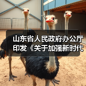 山东省人民政府办公厅印发《关于加强新时代全省高技能人才队伍建设的实施意见》的通知(图3) 山东省人民政府办公厅印发《关于加强新时代全省高技能人才队伍建设的实施意见》的通知(图3)