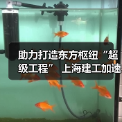 助力打造东方枢纽“超级工程” 上海建工加速推进工程建设(图3) 助力打造东方枢纽“超级工程” 上海建工加速推进工程建设(图3)