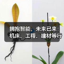 拥抱智能,未来已来:机床、工程、建材等行业实施数字化转型行动(图2) 拥抱智能,未来已来:机床、工程、建材等行业实施数字化转型行动(图2)