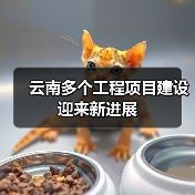 云南多个工程项目建设迎来新进展(图1) 云南多个工程项目建设迎来新进展(图1)