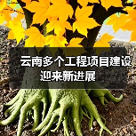 云南多个工程项目建设迎来新进展(图2) 云南多个工程项目建设迎来新进展(图2)