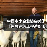 中国中小企业协会关于《智慧建筑工程造价 BIM应用与数字化建设规范》等三项团体标准的立项公告(图2) 中国中小企业协会关于《智慧建筑工程造价 BIM应用与数字化建设规范》等三项团体标准的立项公告(图2)