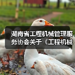 湖南省工程机械管理服务协会关于《工程机械管理服务行业规范》团体标准发布公告（图1）