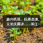 嘉兴机场、杭甬高速、义龙庆高速……浙江一批交通工程有新进展（图4）