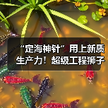 “定海神针”用上新质生产力!超级工程狮子洋大桥东西锚碇全部封底(图3) “定海神针”用上新质生产力!超级工程狮子洋大桥东西锚碇全部封底(图3)