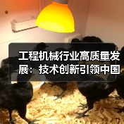 工程机械行业高质量发展:技术创新引领中国智造升级(图3) 工程机械行业高质量发展:技术创新引领中国智造升级(图3)