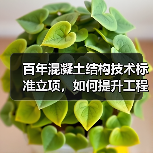 百年混凝土结构技术标准立项，如何提升工程质量？（图1）