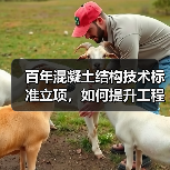 百年混凝土结构技术标准立项，如何提升工程质量？（图2）