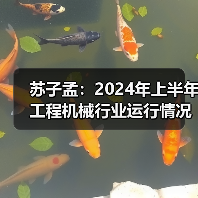 苏子孟:2024年上半年工程机械行业运行情况与BICES 2025展望(图1) 苏子孟:2024年上半年工程机械行业运行情况与BICES 2025展望(图1)