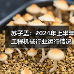 苏子孟:2024年上半年工程机械行业运行情况与BICES 2025展望(图4) 苏子孟:2024年上半年工程机械行业运行情况与BICES 2025展望(图4)