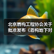 北京盾构工程协会关于批准发布《盾构地下对接、弃壳解体施工技术要求》团体标准的公告（图2）