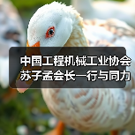 中国工程机械工业协会苏子孟会长一行与同力重工领导座谈交流(图3) 中国工程机械工业协会苏子孟会长一行与同力重工领导座谈交流(图3)
