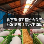 北京盾构工程协会关于批准发布《泥水平衡盾构工程泥浆处理技术标准》团体标准的公告（图4）